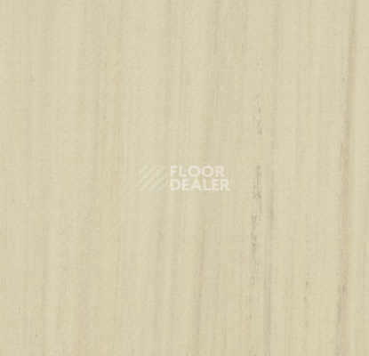 Кварцвиниловые полы Forbo Marmoleum Modular t3575 white cliffs фото 1 | FLOORDEALER